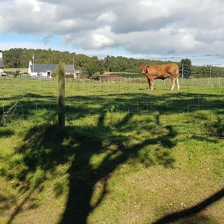 Cosy 2 Bedroom Croft Cottage With Beautiful Views North Kessock Ngoại thất bức ảnh