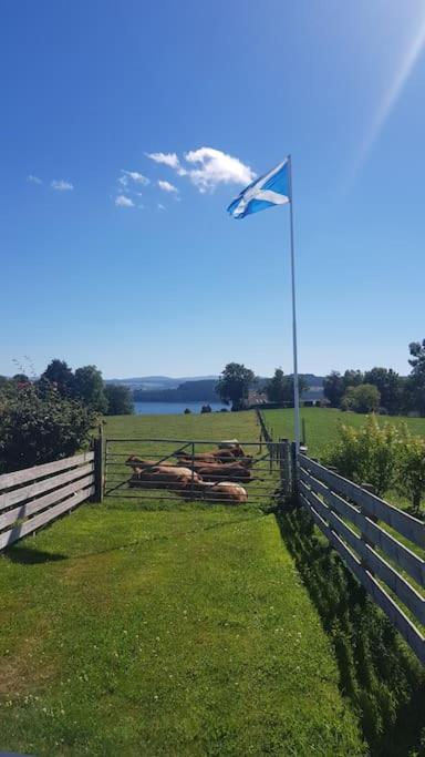 Cosy 2 Bedroom Croft Cottage With Beautiful Views North Kessock Ngoại thất bức ảnh