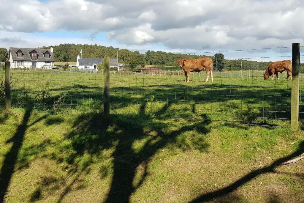 Cosy 2 Bedroom Croft Cottage With Beautiful Views North Kessock Ngoại thất bức ảnh